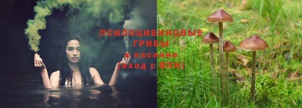 мескалин Покров