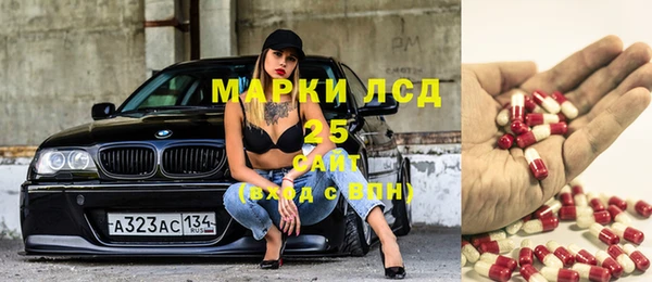 хмурый Гатчина