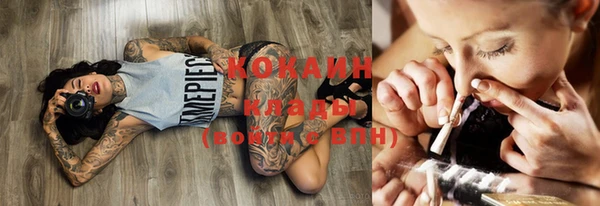дживик Покачи