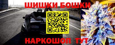 прущие грибы Бийск