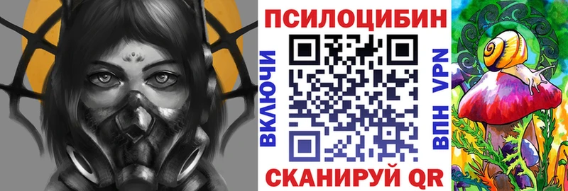 Галлюциногенные грибы Psilocybine cubensis  Азов 