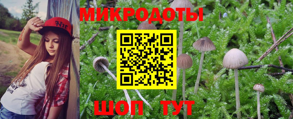 Псилоцибиновые грибы Magic Shrooms  Вход с VPN  Азов  Галлюциногенные грибы Cubensis 